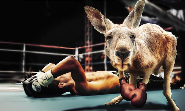 beginner boxing stance practice Ireland movement education FAQ